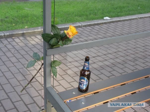 Весёлое из сети
