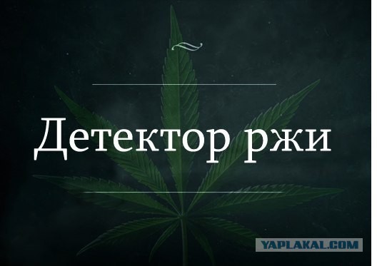 Алко-Нарко-Психо-Фармо и т.п. поборка