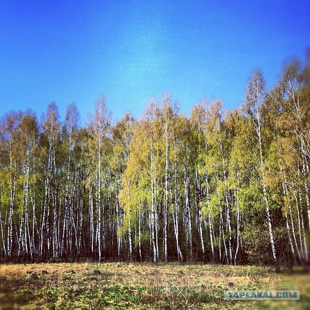 Апрель 2012