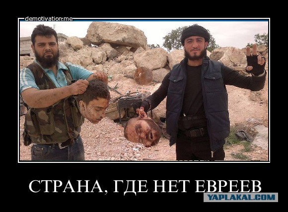 Правоверным разрешили есть жен