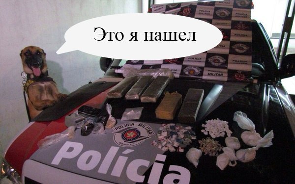 Картинки из сети
