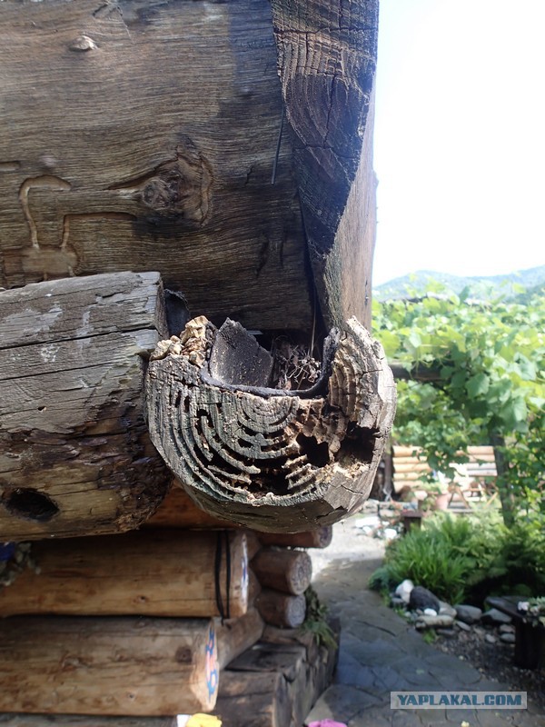 Бритиш баня