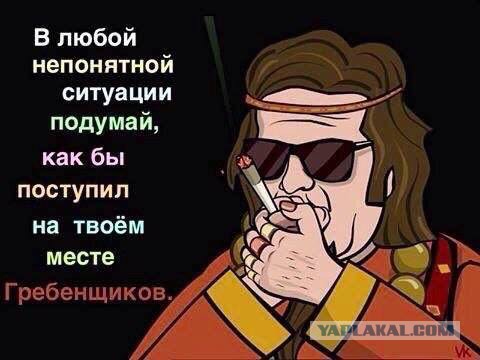 Прикольные фото и картинки