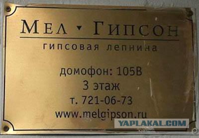 Приколы из сети