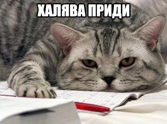 Разные картинки