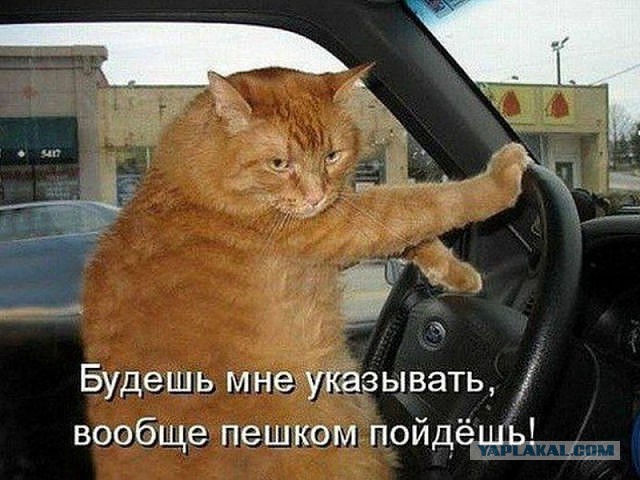 Фотоприколы