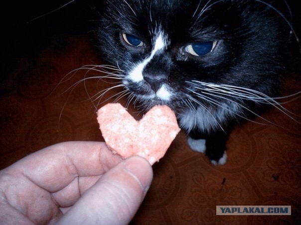 Сумасшедшие идеи подарков на День Святого Валентина