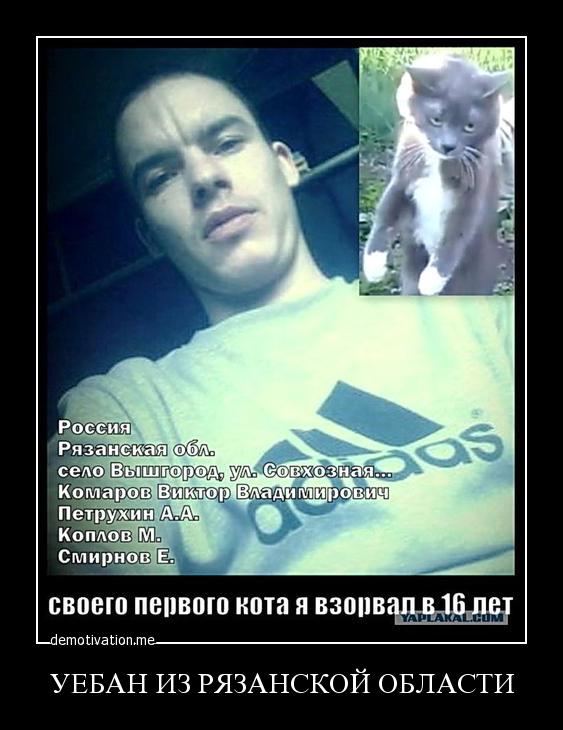 Полицейские задержали взорвавших кота рязанцев