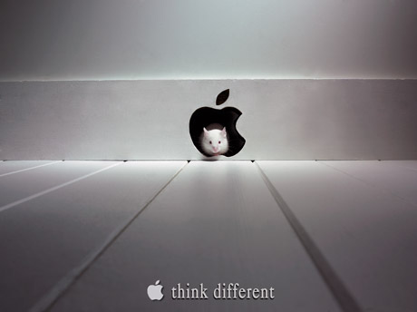 Apple, всё о Маках