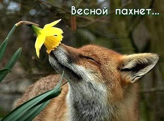 Смешные картинки