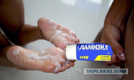 Забавные картинки из сети