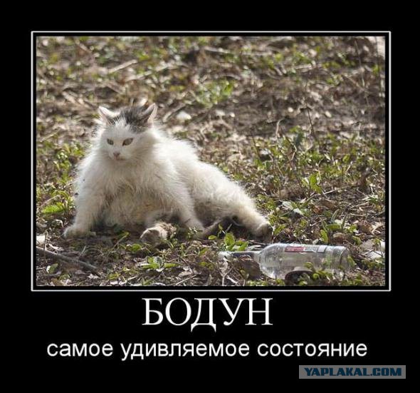 Странное видео с названием SADOVICH, SIBERIA, RUSSIA