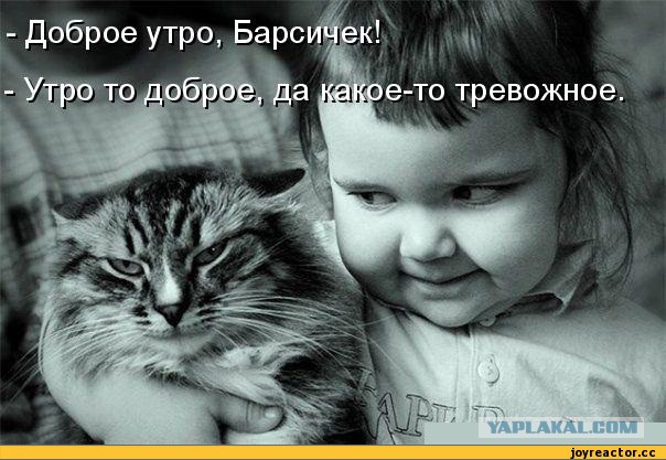 Что вообще тут творится