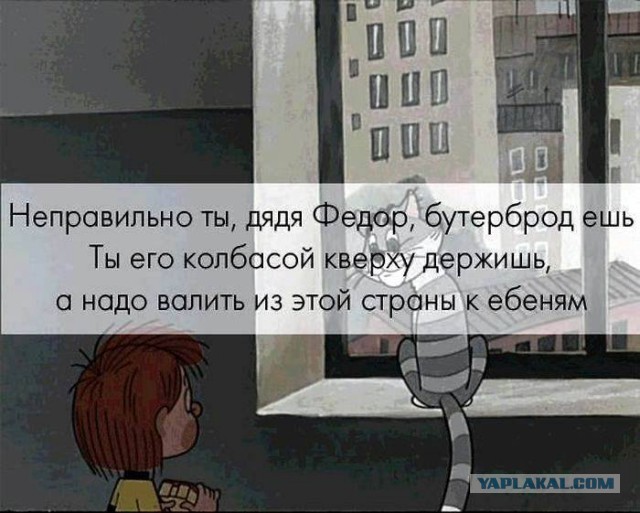 Как строят дома в Новой Зеландии (на примере соседа)