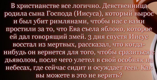 Перлы, высказывания и т.д.