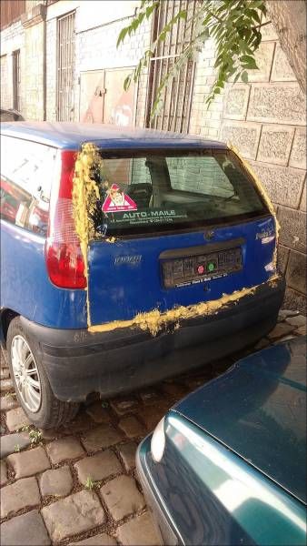 Картинки и приколы из сети