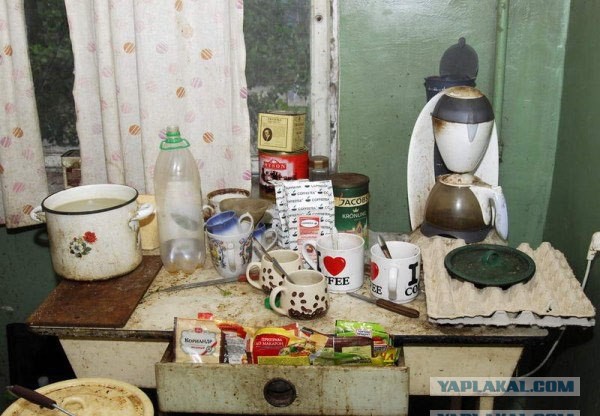 Так жить нельзя: король Рязани