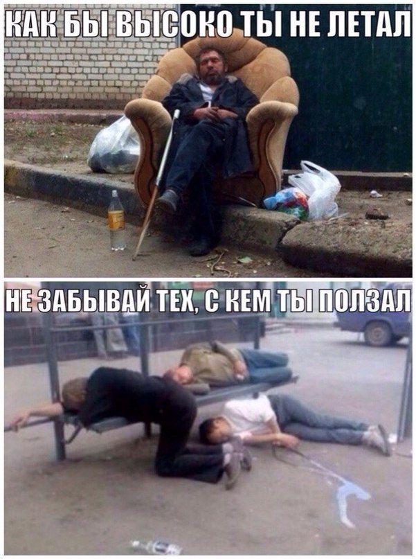 Смешные картинки