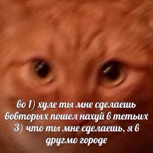 Приколы в стиле "регресс"