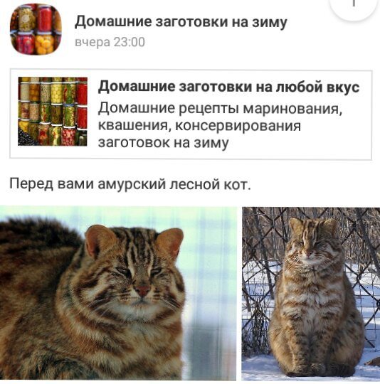 Деграклассники - 7