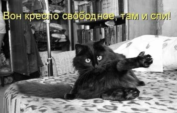 144 картинки для поднятия настроения!