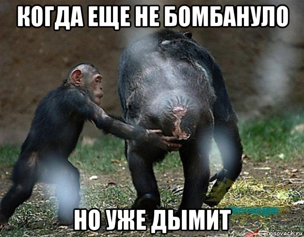 Люди, вы опять за своё?