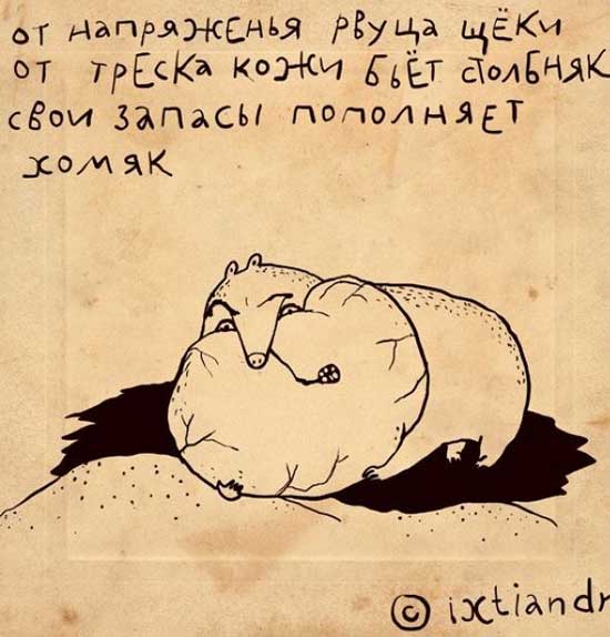 Жил у меня хомяк