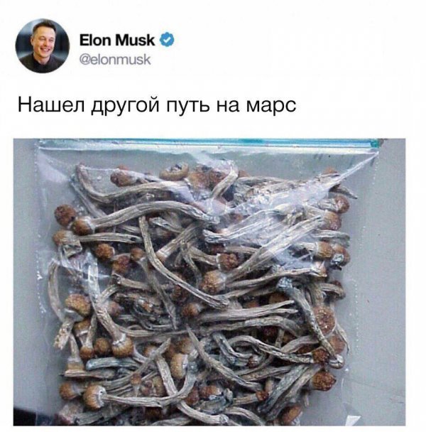 Тот случай, когда комментарий лучше поста