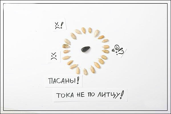 Креативные семечки (14 фото)