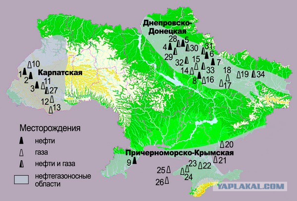 «Нам нечего есть»: приграничная украинская Шостка взбунтовалась