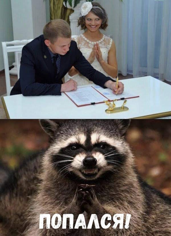 31 первый километр