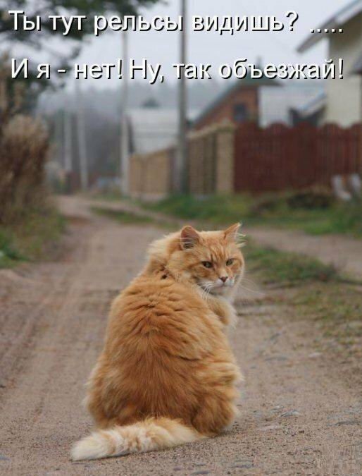 Анекдоты, соц-сети и картинки с надписями