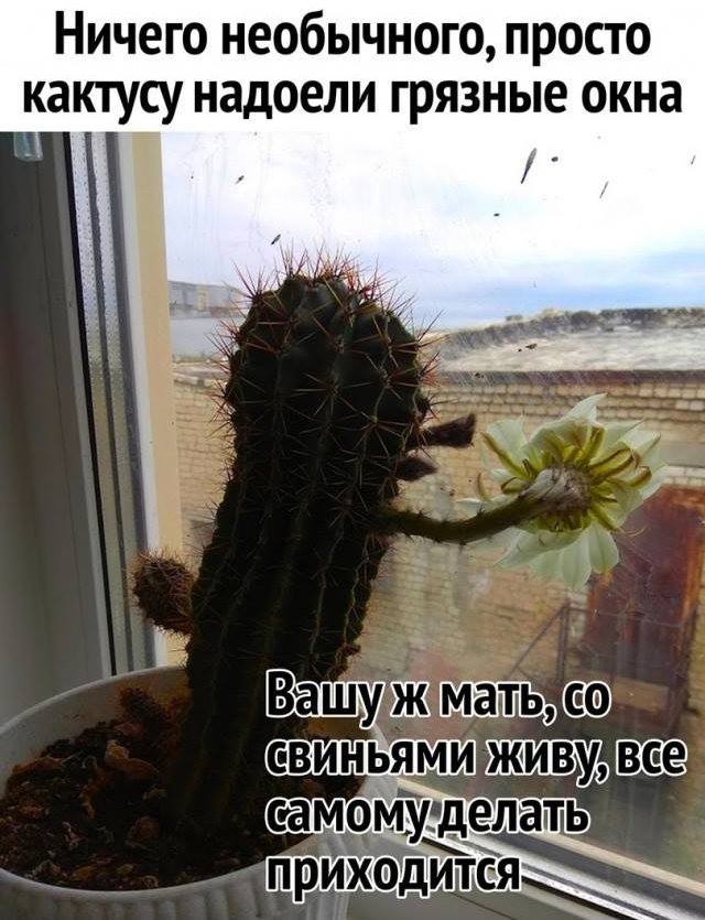 Подборка интересных и веселых картинок 07.05.19