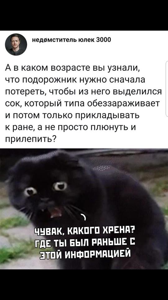 Белиссиммо