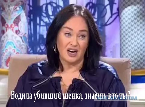 На томского подростка завели уголовное дело за удар по машине, сбившей его щенка