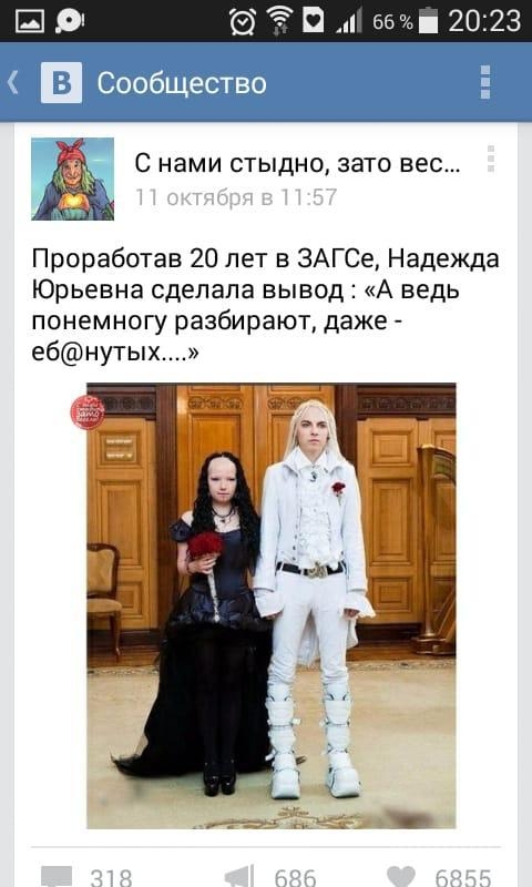 Так себе картинки #14