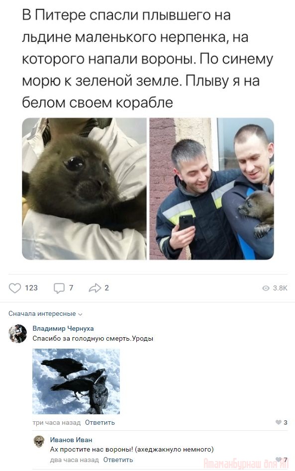 Комментарии к постам в разных группах, которые вызвали улыбку