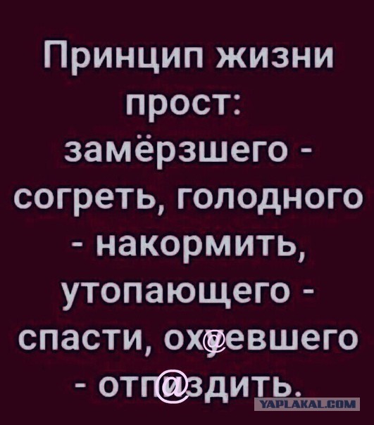 Так себе картинки 06.05.2020