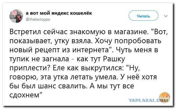 Посольство США в России сменило ориентацию