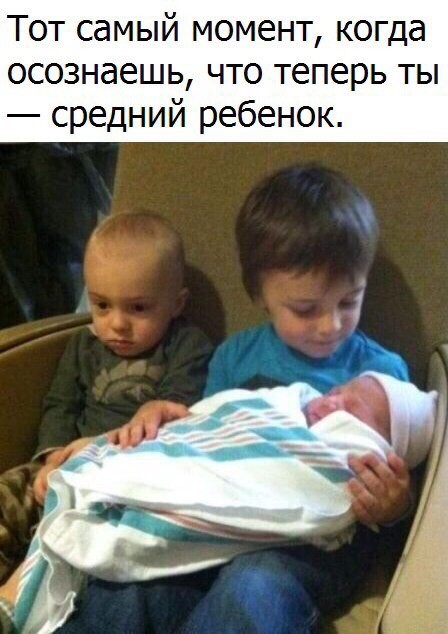 Фотки и картинки: юморные и красивые, забавные и милые