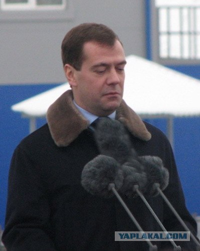 Фотожаба: Кто мои бубончики оторвал?!