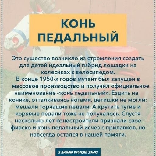 Бредзона 11.11.2020