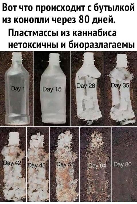 Картинки с надписями и всякие жизненные фразы 6.01.2021