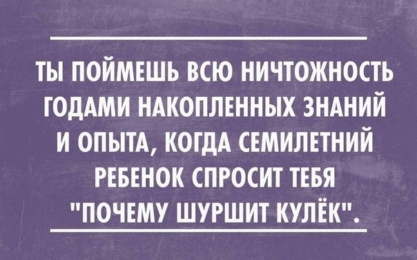 Кретинизмы из сети 03.02.21 Night Edition