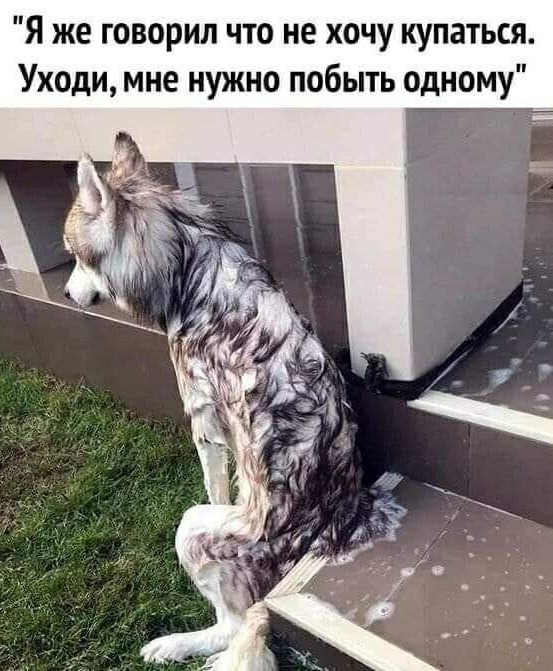 Мадам и месье, ещё раз бонжур