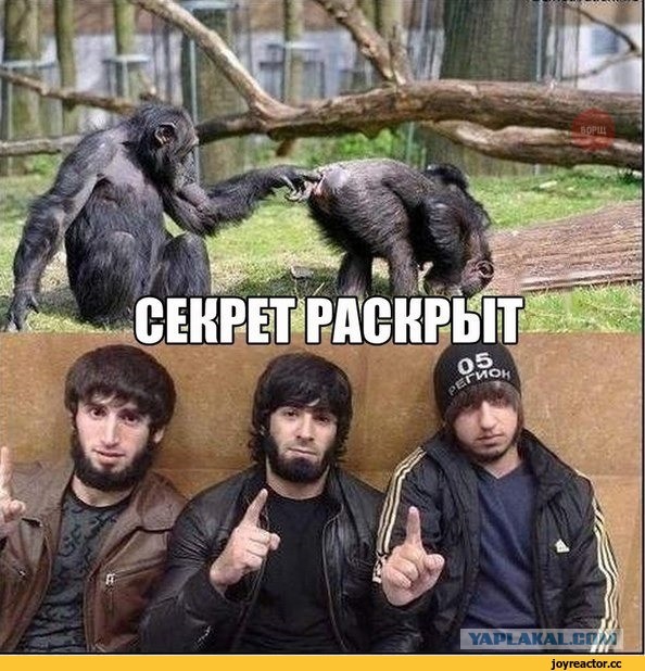 Фотожаба: Памятник Грете Тунберг