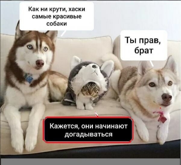 Картинки и мемы для настроения 31.03.2021