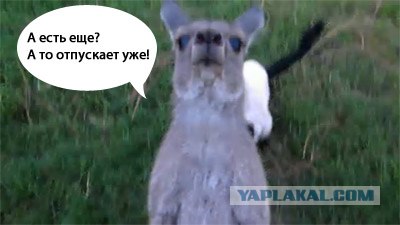 Детский сад