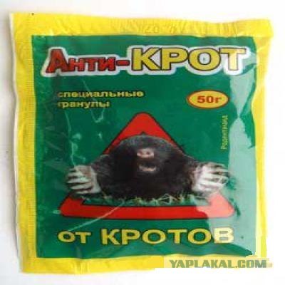 Песня про кротов и хомяков