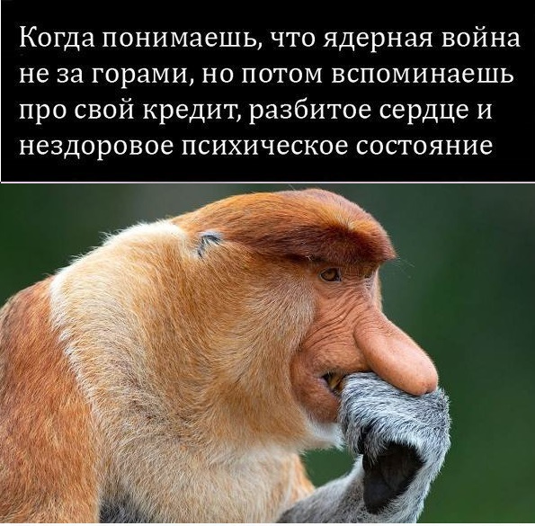 Картинки и мемы для настроения